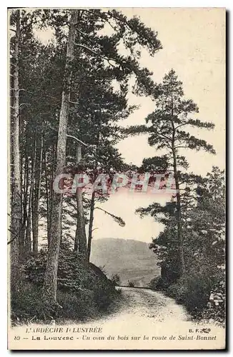 Cartes postales L'Ardeche Illustree La Louvesc Un coin du bois sur la route de Saint Bonnet