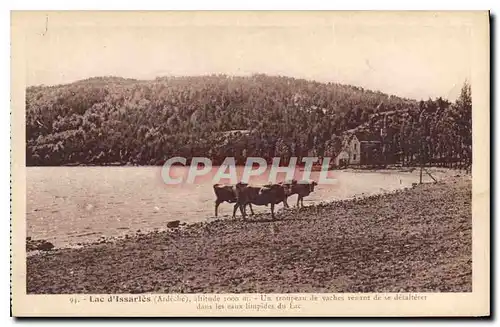 Cartes postales Lac d'Issarles Ardeche Dans les eaux limpides du Lac