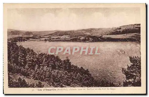 Ansichtskarte AK Lac d'Issarles Ardeche Ardeche Le Lac vu du Col du Cage