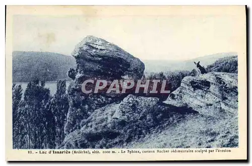 Ansichtskarte AK Lac d'Issarles Ardeche Le Sphinx curieux Rocher Chien