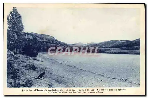 Ansichtskarte AK Lac d'Issarles Ardeche Un coin du Lac