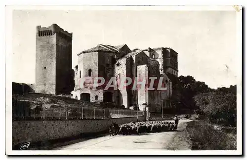 Cartes postales Montmajour Abbaye XII siecle Berger Moutons Ane Mule