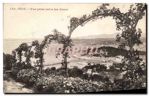 Cartes postales Nice Vue prise entre les fleurs