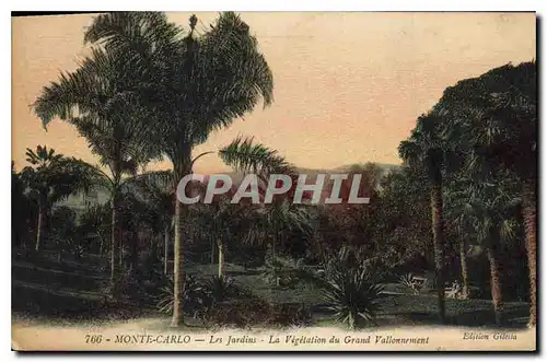 Cartes postales Monte Carlo les jardins la Vegetation du grand Vallonnement