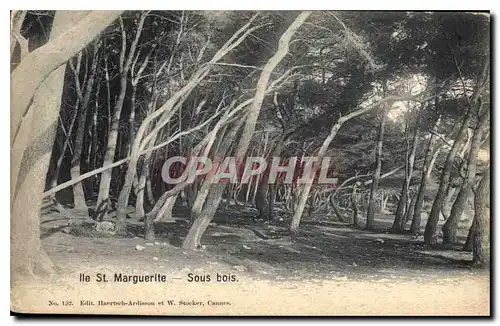 Cartes postales Ile St Marguerite sous Bois