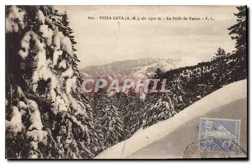 Cartes postales Peira Cava A M la Foret de Turini