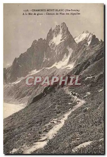 Ansichtskarte AK Chamonix Mont Blanc Hte Savoie a la Mer de glace chemin du plan des Aiguilles