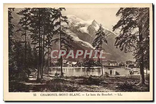 Cartes postales Chamonix Mont Blanc le Bois du Bouchet