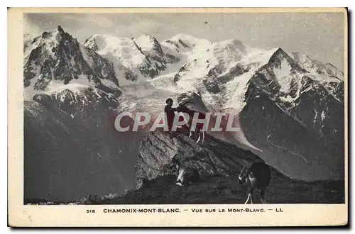 Ansichtskarte AK Chamonix Mont Blanc vue sur le Mont Blanc Chevre Chevres