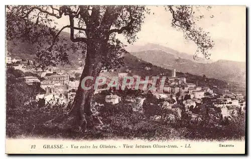 Cartes postales Grasse vue entre les Oliviers