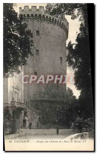 Cartes postales Chambre Donjon du Chateau des Ducs de Savoie