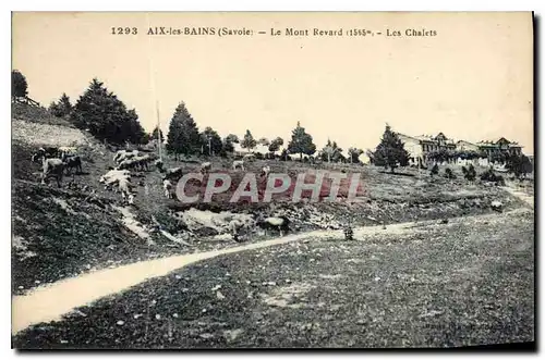 Ansichtskarte AK Savoie Le Mont Revard Aix les Bains Les Chalets Vaches