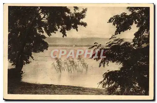 Ansichtskarte AK Bord du Lac Leman Messery Hte Savoie