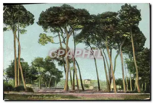 Cartes postales Juan les Pins