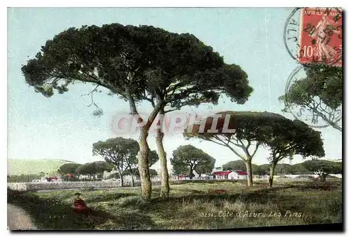 Cartes postales Cote d'Azur Les Pins