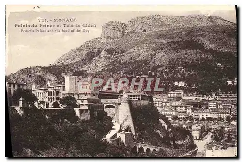 Cartes postales Monaco Palais du Prince et Tete de Chien