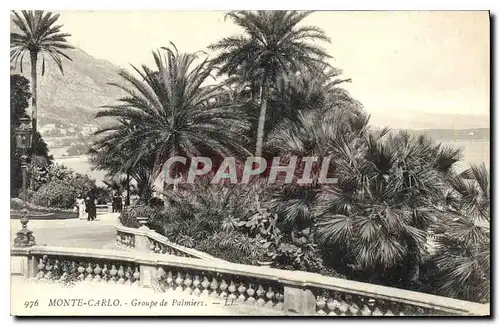 Cartes postales Monte Carlo Groupe de Palmiers