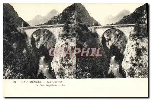 Cartes postales Les Pyrenees Saint Sauveur Le Pont Napoleon