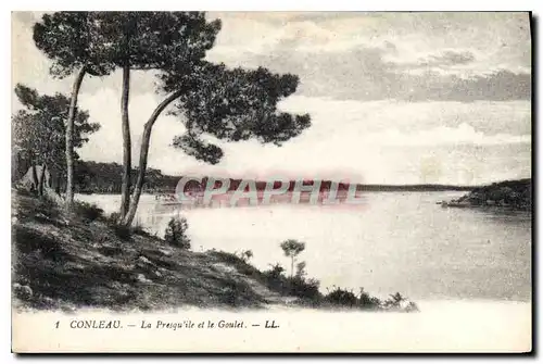 Cartes postales Conleau La Presqu'ile et le Goulet