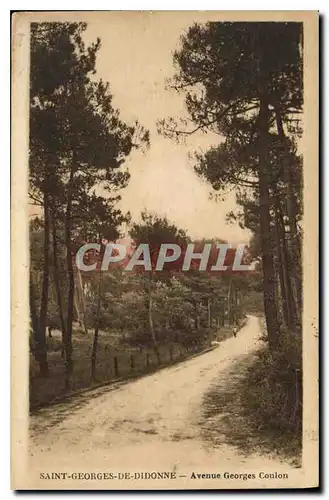 Cartes postales Saint Georges de Didonne Avenue Georges Coulon