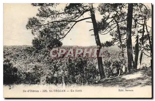 Ansichtskarte AK Ile d'Oleron St Trojan En foret