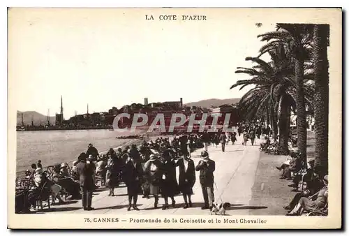 Cartes postales Cannes Promenade de la Croisette et le Mont Chevalier