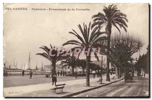 Cartes postales Cannes Palmiers Promenade de la Croisette