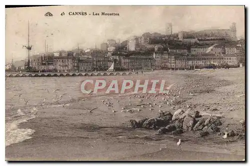 Cartes postales Cannes Les Mouettes