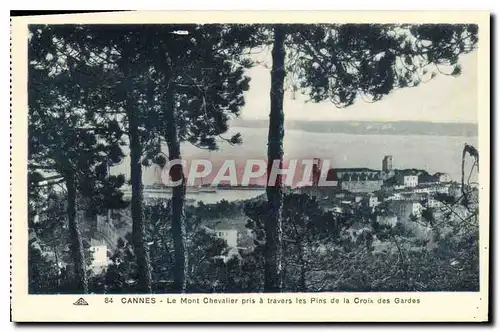 Cartes postales Cannes Le Mont Chevalier pris a travers les Pins de la Croix Gardes