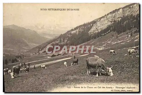 Ansichtskarte AK Sites Pittoresque de Savoie Route de la Clusaz au Col des Aravis Paturage Alpestres Vaches