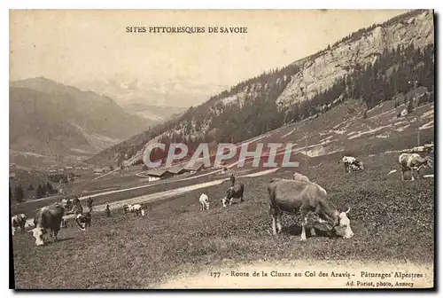 Cartes postales Sites Pittoresque de Savoie Route de la Clusaz au Col des Aravis Paturage Alpestres Vaches