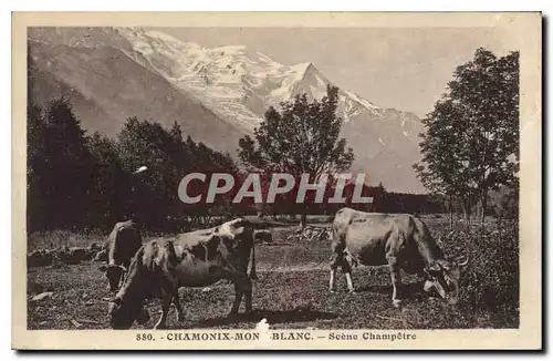 Cartes postales Chamonix Mont Blanc Scene Champetre Vaches