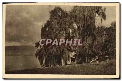 Cartes postales Bord du Lac Leman Messerv Hte Savoie