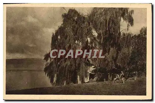 Cartes postales Bord du Lac Leman Messery Hte Savoie