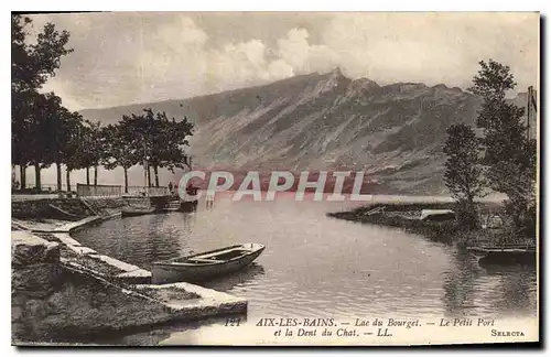 Ansichtskarte AK Aix les Bains Lac du Bourget Le Petit Port et la Dent du Chat