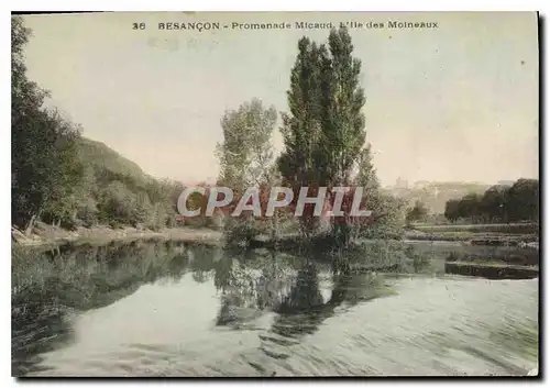 Cartes postales Besancon Promenade Micaud L'lle des Moineaux