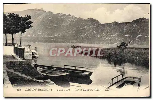 Cartes postales Lac du Bourget Petit Port Col et Dent du Chat