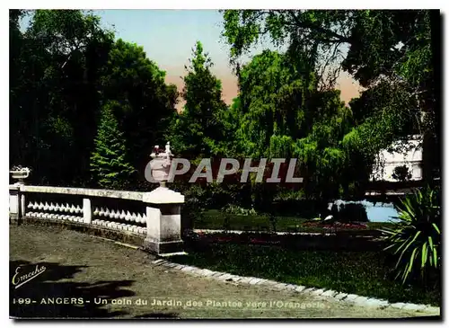 Cartes postales Angers Un coin du Jardin des Plantes vers l'Orangerie