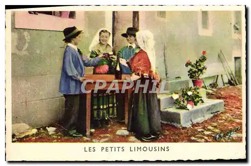 Cartes postales Les Petits Limousins