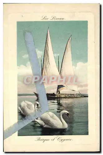 Cartes postales Barque et Cygnes Barque