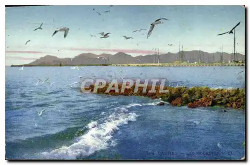 Cartes postales Cannes Les Mouettes