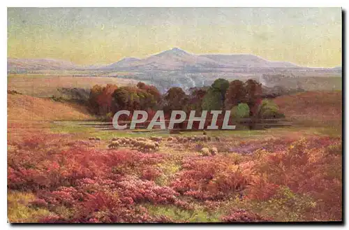 Cartes postales Paysage