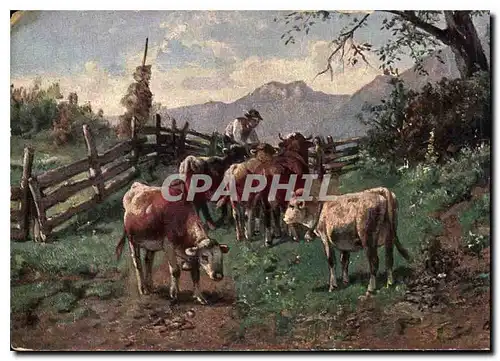 Cartes postales Vaches