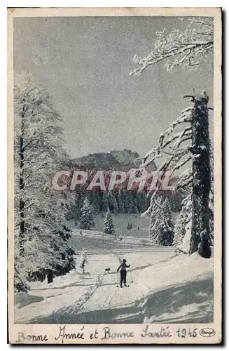 Cartes postales Ski