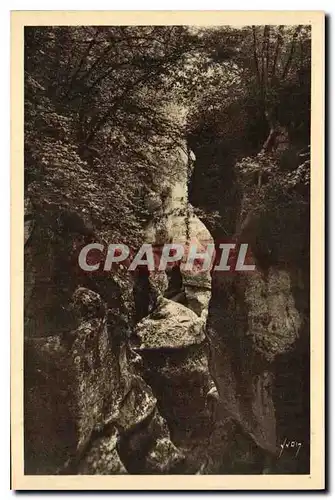 Cartes postales Gorges du Fier Hte Savoie Les beaux Hetres