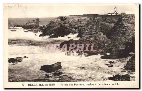 Cartes postales Belle Ile en Mer Poiunte des Poulains rocher le chien