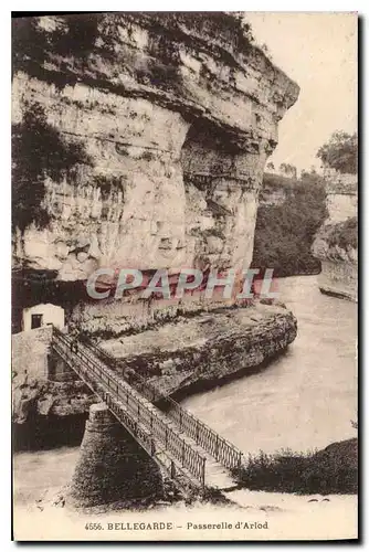 Ansichtskarte AK Bellegarde Passerelle d'Arlod