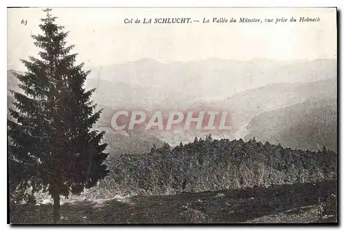 Cartes postales Col de la Schlucht la Vallee du Muster vue prise du Hobmech
