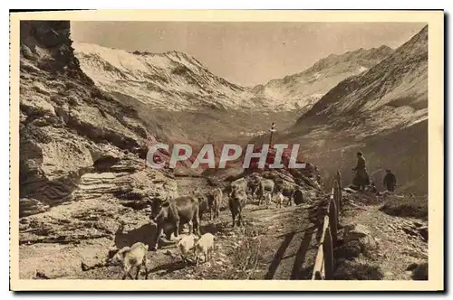 Ansichtskarte AK Les Alpes le Chazelet en route pour les Paturages