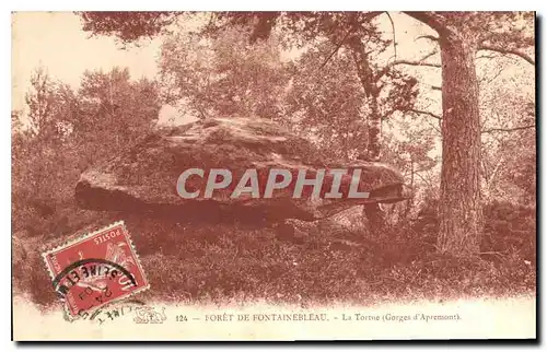 Ansichtskarte AK Foret de Fontainebleau la Tortue Gorges d'Apremont